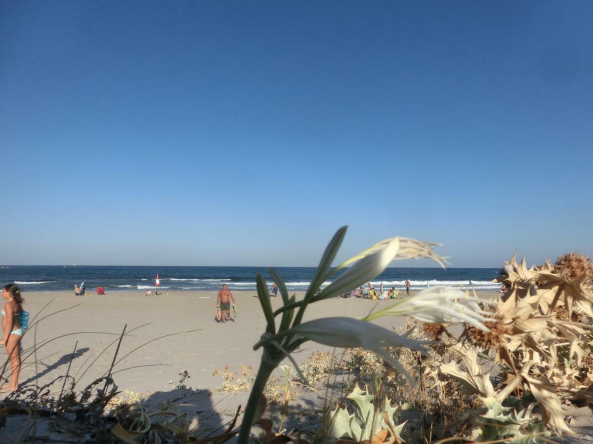 La Costa Est Villa Con Vista Mare In Ogliastra Sardegna 테르테니아 외부 사진